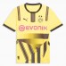 Borussia Dortmund Mens Cup Jersey 24-25