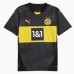 Borussia Dortmund Mens Away Jersey 24-25