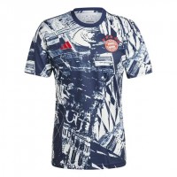 Bayern Munich Mens Pre Match Jersey 23-24