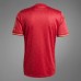 FC Bayern Mens Anniversary Jersey 24-25
