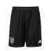 FC Bayern Mens Goalkeeper Shorts 2023-24
