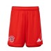 FC Bayern Mens Home Shorts 2023-24