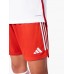 FC Bayern Mens Home Shorts 2023-24