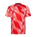 FC Bayern Mens Pre Match Jersey 2023-24