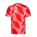 FC Bayern Mens Pre Match Jersey 2023-24