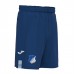 TSG Mens Home Shorts 2023-24