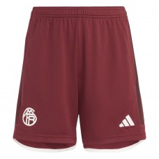 FC Bayern Mens Third Shorts 2023-24