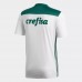 PALMEIRAS 2018 2019 Away Jersey