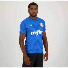 Palmeiras Mens Home Goalkeeper Jersey 2023-24