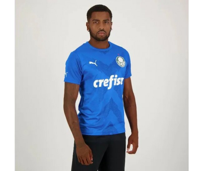 Palmeiras Mens Home Goalkeeper Jersey 2023-24