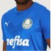 Palmeiras Mens Home Goalkeeper Jersey 2023-24