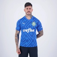Palmeiras Mens Home Goalkeeper Jersey 2024-25