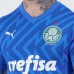 Palmeiras Mens Home Goalkeeper Jersey 2024-25