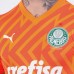 Palmeiras Mens Third Goalkeeper Jersey 2024-25