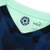 PSV Eindhoven Away Jersey 2021-22