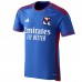 Olympique Lyonnais Men's Away Jersey 2023-24
