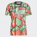 Arsenal Mens Warm Up Jersey 24-25