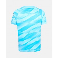 Tottenham Hotspur Blue Goalkeeper Jersey 23-24