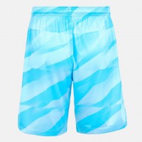 Tottenham Hotspur Blue Goalkeeper Shorts 23-24