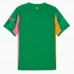 Manchester City Mens Goalkeeper Green Jersey 25-26