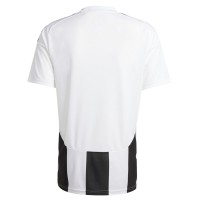 Beşiktaş Mens Third Jersey 24-25