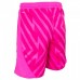 Blackpool Fc Goalkeeper Away Shorts 23-24
