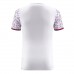 Fiorentina Mens Away Jersey 2023-24