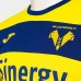 Hellas Verona FC Mens Away Jersey 23-24