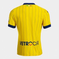 Hellas Verona Mens Fourth Jersey 24-25