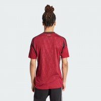 Belgium Mens Home Authentic Jersey 24-25