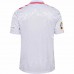 Denmark Mens Euro 2024 Away Jersey
