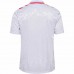 Denmark Mens Away Jersey 24-25