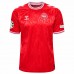 Denmark Mens Euro 2024 Home Jersey