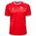 Denmark Mens Home Jersey 24-25