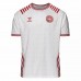Denmark Special Edition Jersey 2022