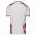 Denmark Special Edition Jersey 2022