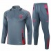 Germany Mens Grey Training Technical Football Tracksuit 2024-25