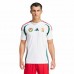 Hungary Mens Euro 2024 Away Jersey