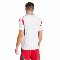Hungary Mens Euro 2024 Away Jersey