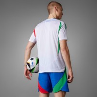 Italy Mens Away Authentic Jersey 24-25