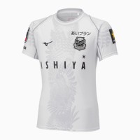 Hokkaido Consadole Sapporo 2023 Mens Third Jersey