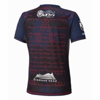 Hokkaido Consadole Sapporo 2025 Mens Away Jersey