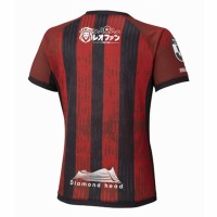 Hokkaido Consadole Sapporo 2025 Mens Home Jersey
