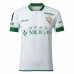 Tokyo Verdy 2024 Mens Away Jersey