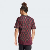 Mexico Mens Home Authentic Jersey 24-25