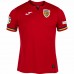 Romania Mens Euro 2024 Away Jersey
