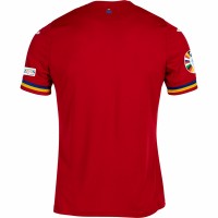 Romania Mens Euro 2024 Away Jersey