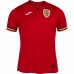 Romania Mens Away Jersey 24-25