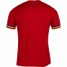 Romania Mens Away Jersey 24-25