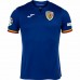 Romania Mens Euro 2024 Third Jersey